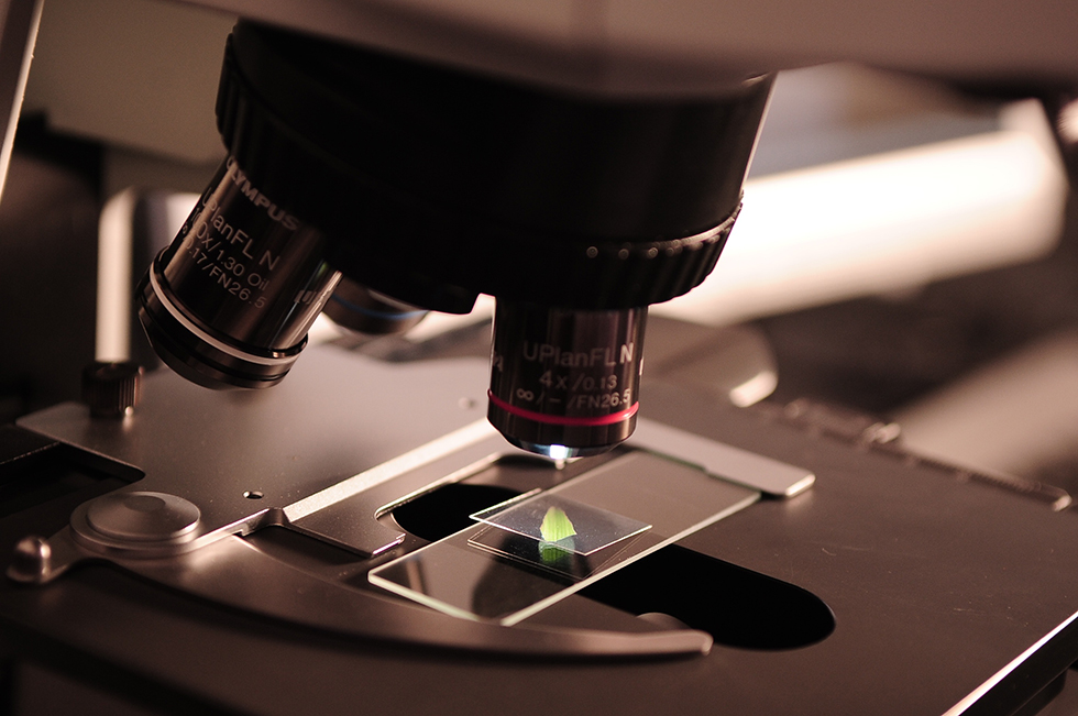 microscope Document Retention